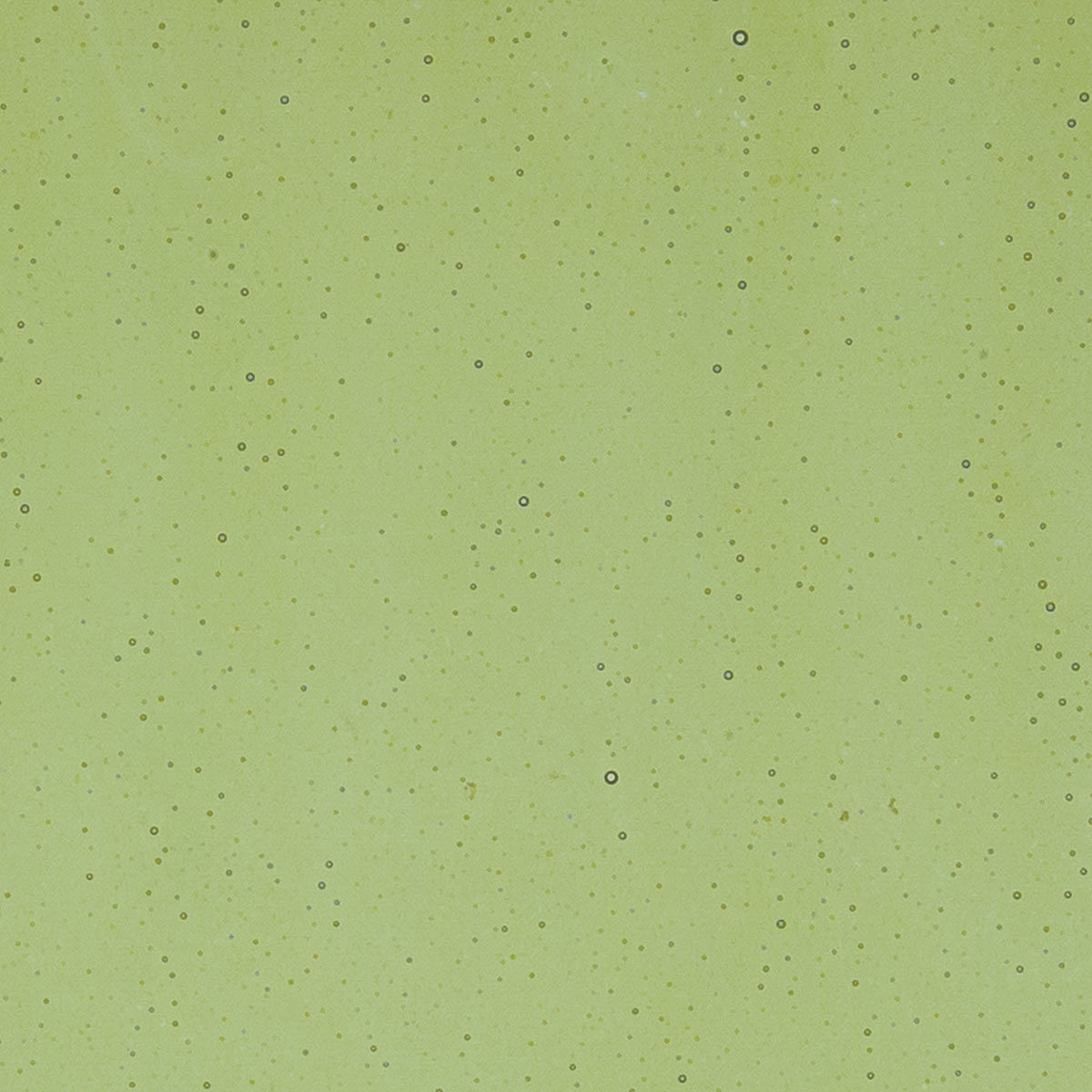 Olive Green, 2 mm