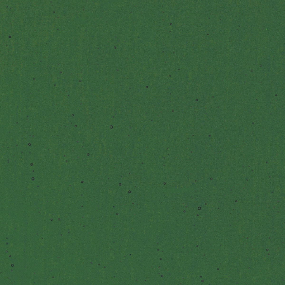 Kelly Green, 3 mm - 10" square