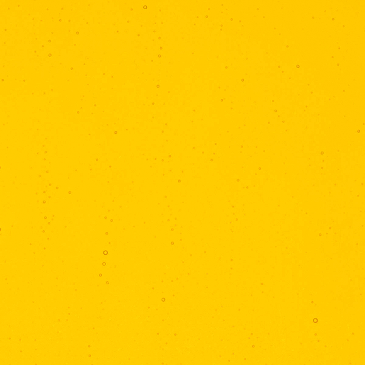 Marigold Yellow, 2 mm