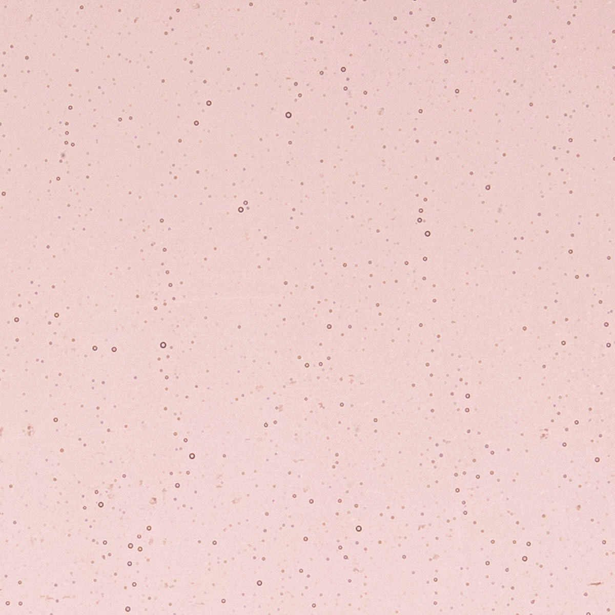 Light Plum, 2 mm