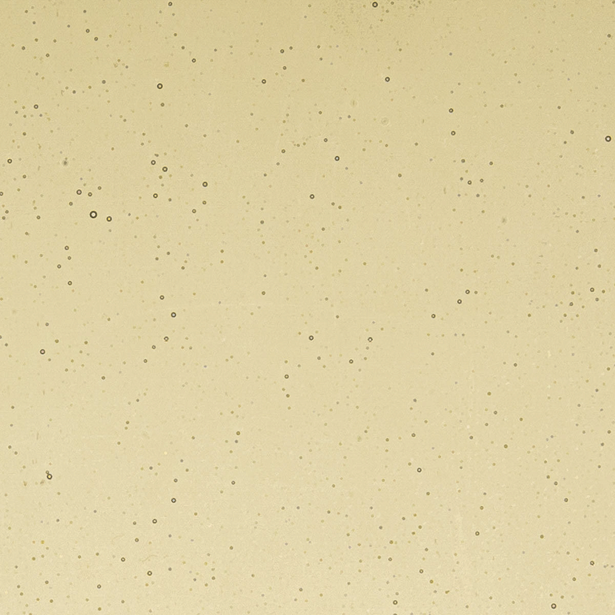 Light Bronze, 2 mm