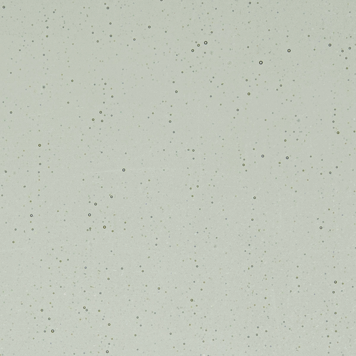 Light Silver Gray, 2 mm