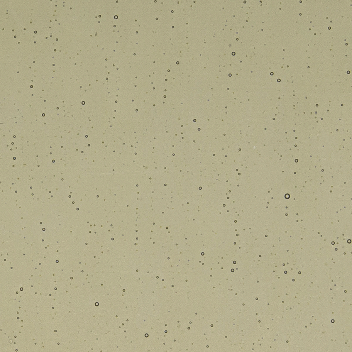 Khaki, 3 mm