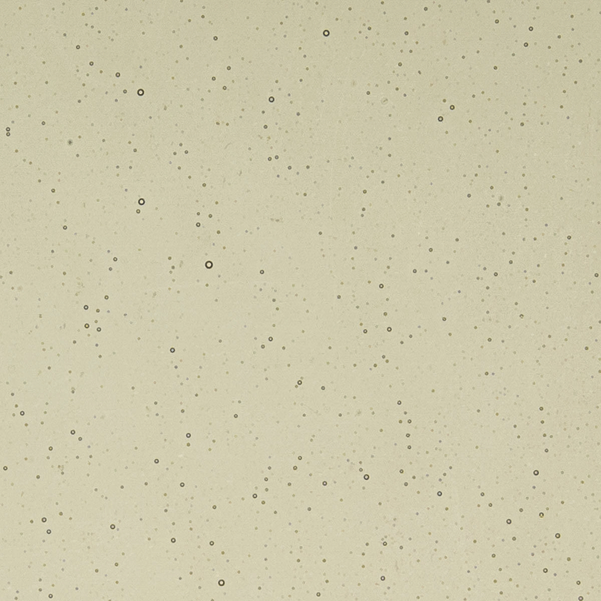 Khaki, 2 mm