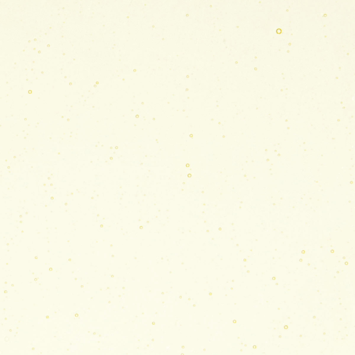 Pale Yellow Tint, 3mm