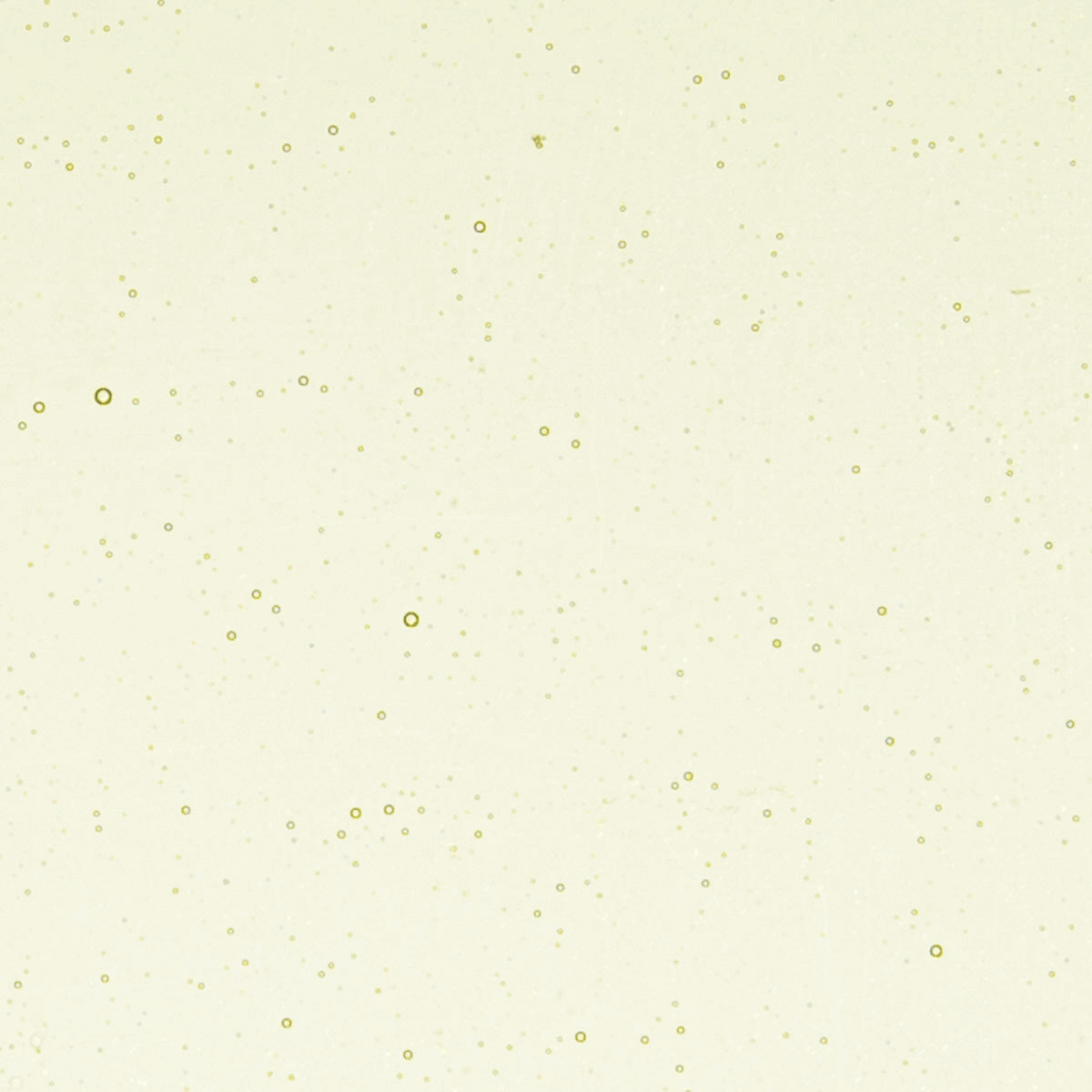 Green Tea Tint, 3 mm - 10" square