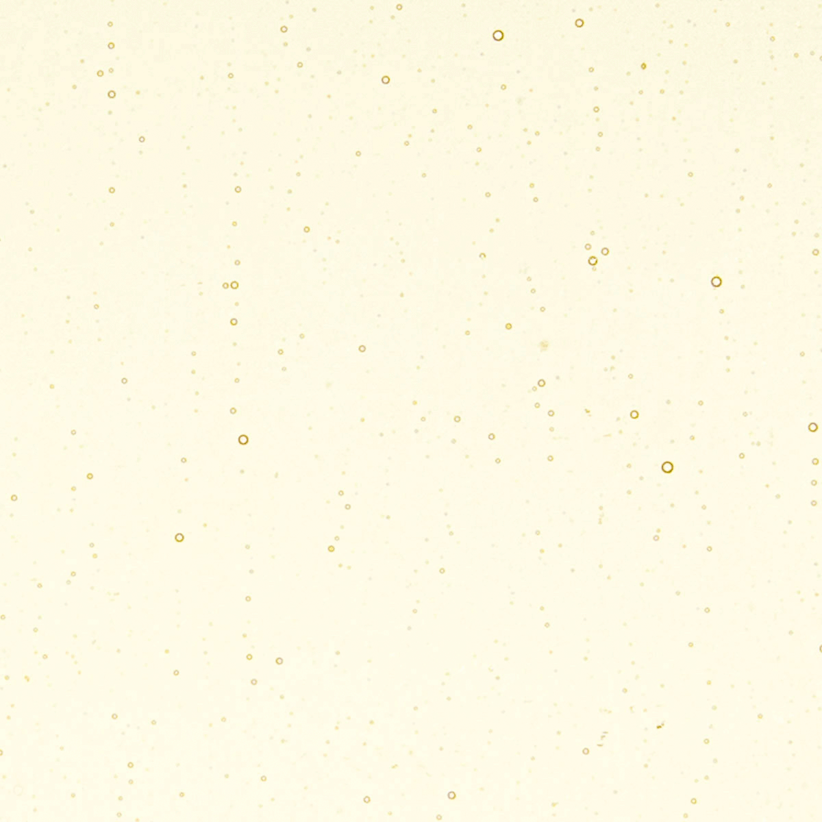 Medium Amber Tint, 3 mm - 10" square