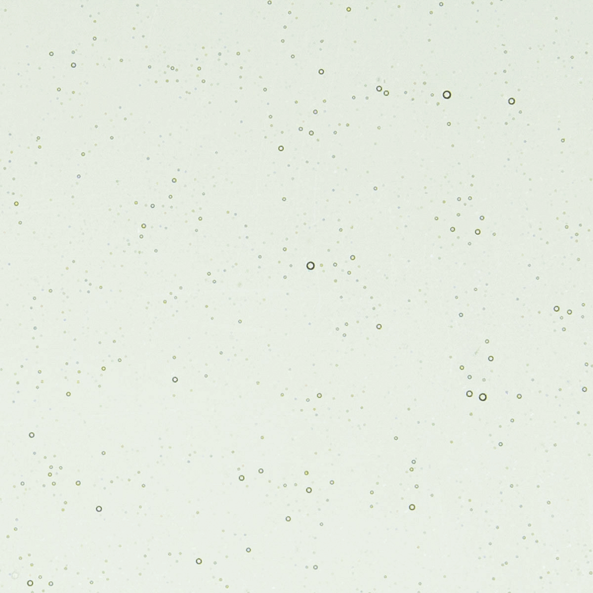 Spruce Green Tint, 3 mm