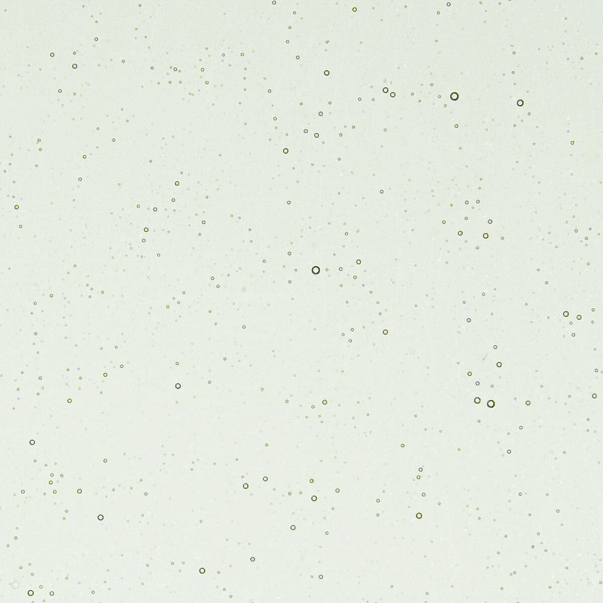 Spruce Green Tint, 2 mm