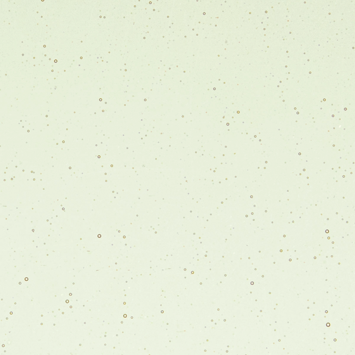 Rhubarb Shift Tint, 3 mm - 10" square