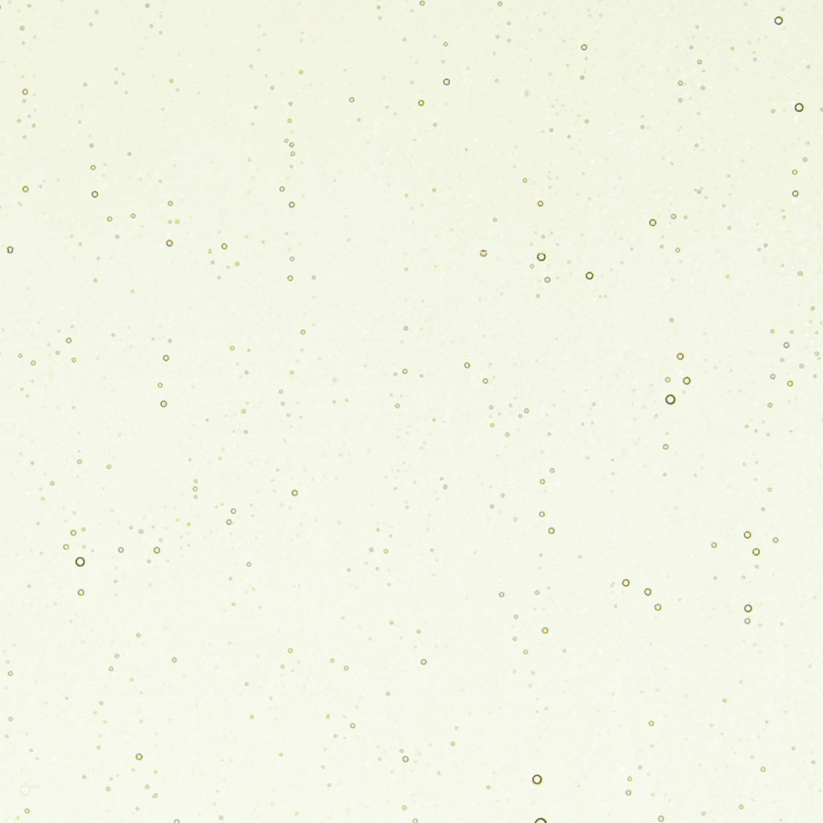 Olivine Tint, 3 mm