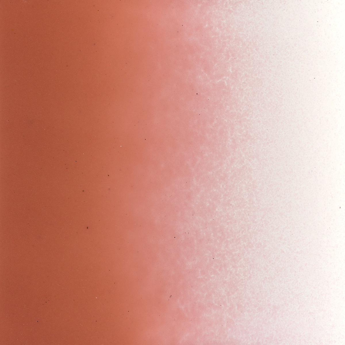 Salmon Pink Opalescent, Powder 1 lb.