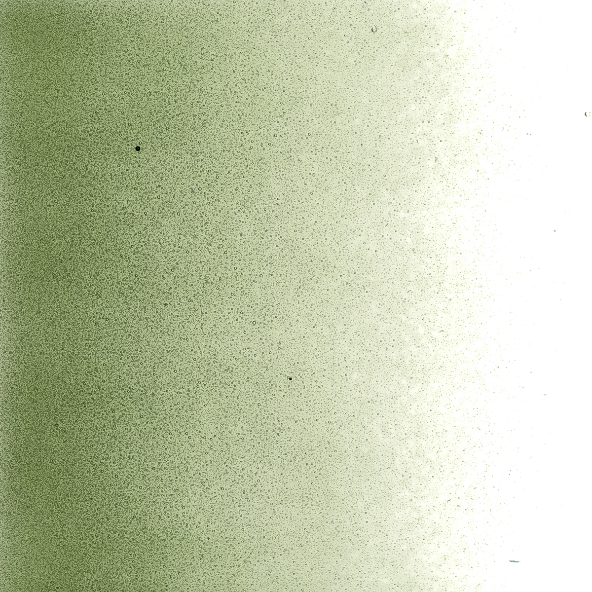 Olive Green Transparent, Powder, 1 lb.