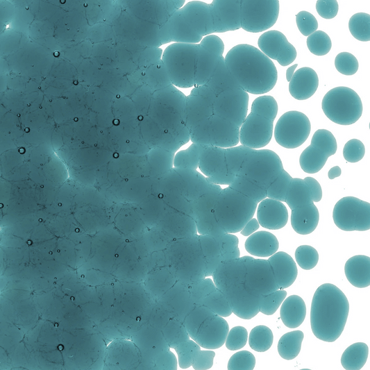 Peacock Blue Transparent, Coarse, 1 lb.