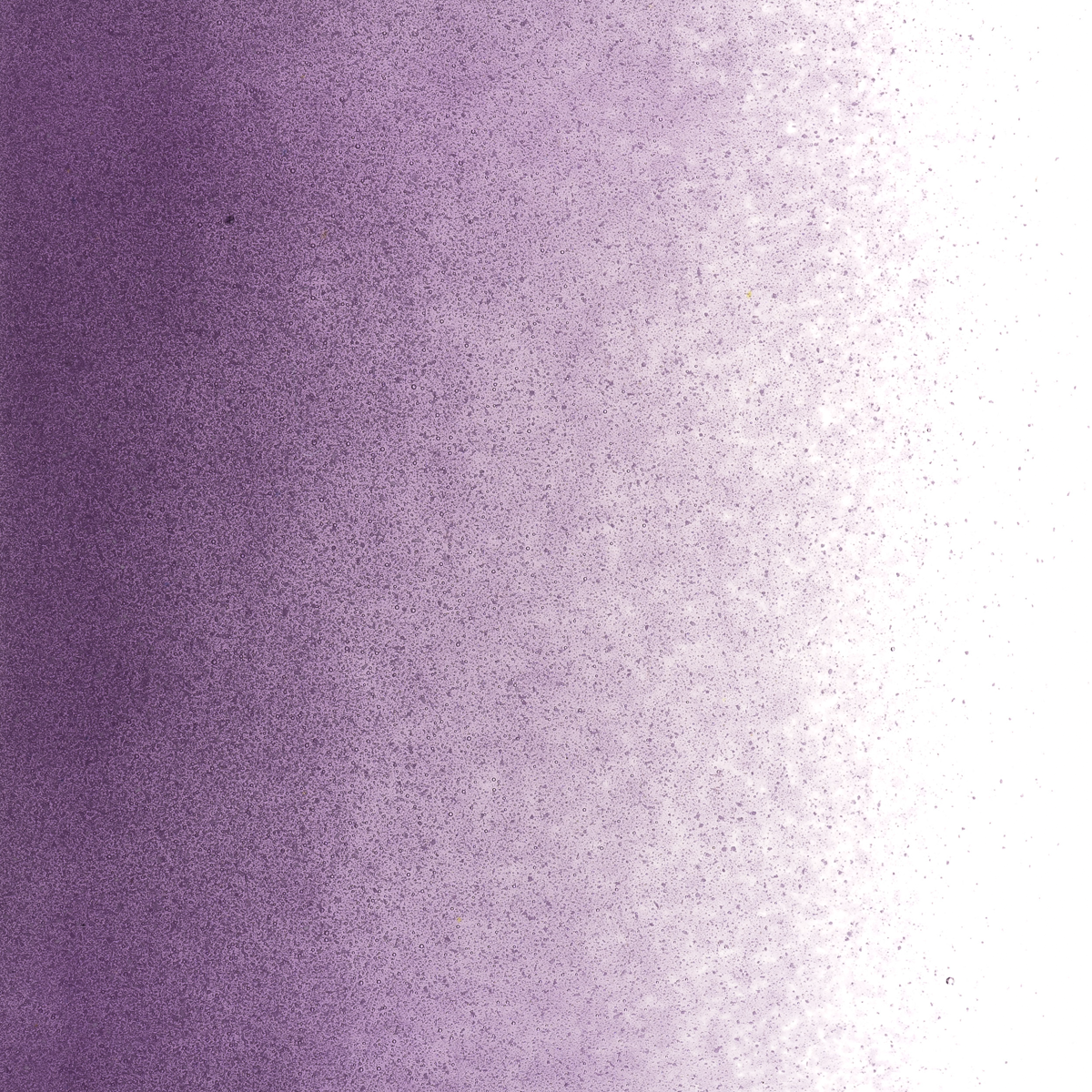 Violet Transparent, Powder, 1 lb.