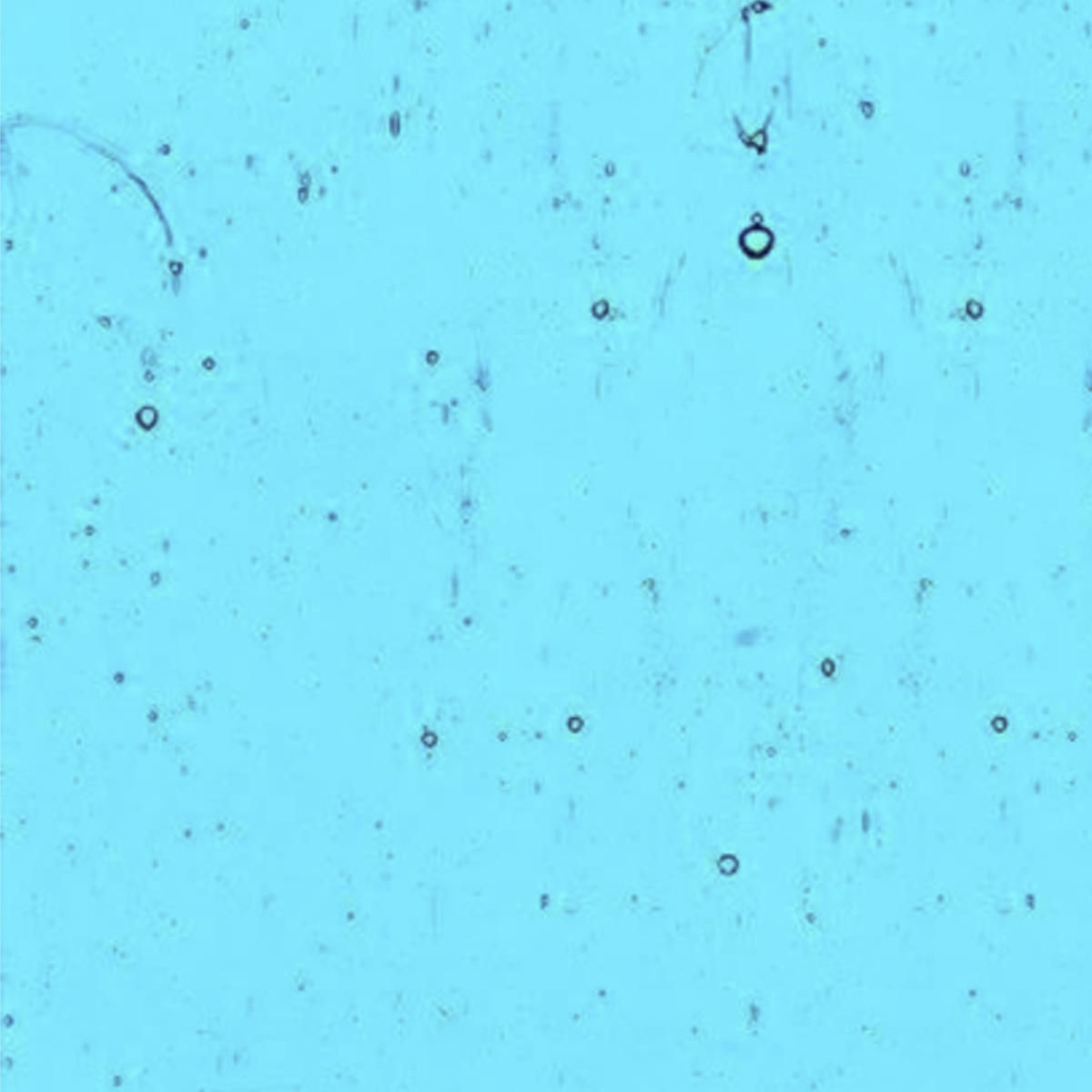 Light Turquoise Blue