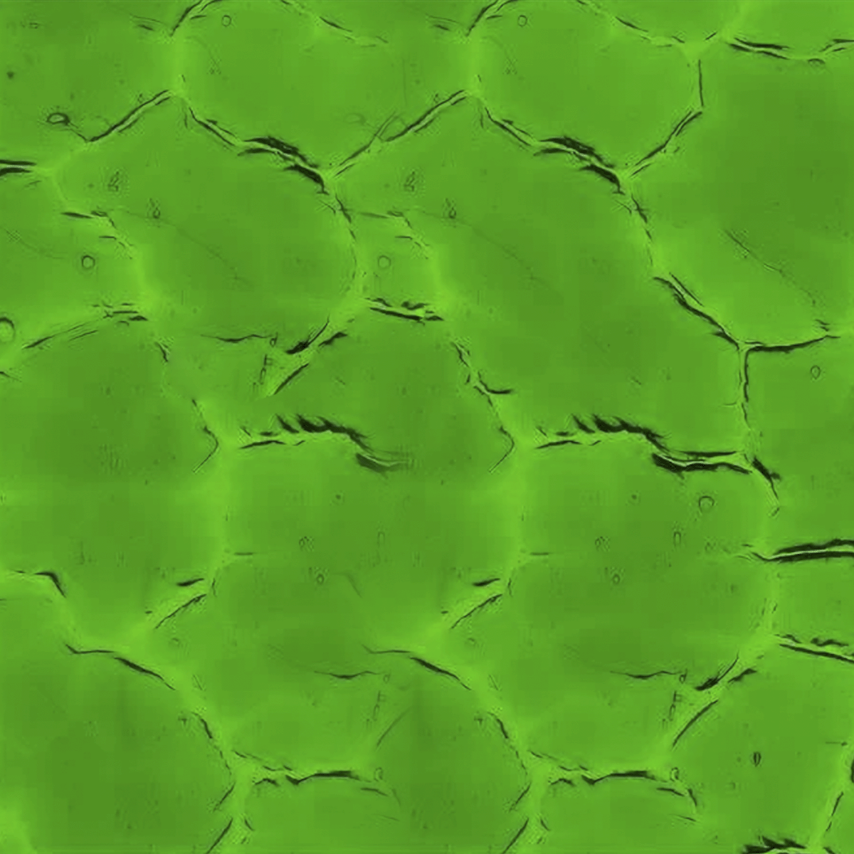 Lighter Green Wavolite