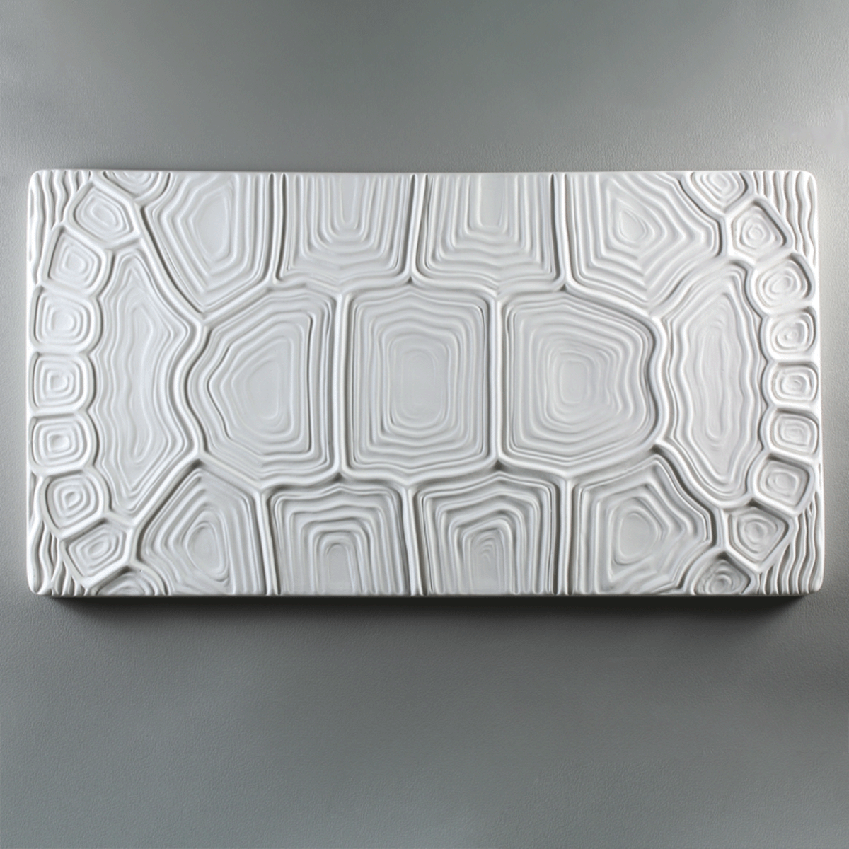 TORTOISE TEXTURE 13"X7"