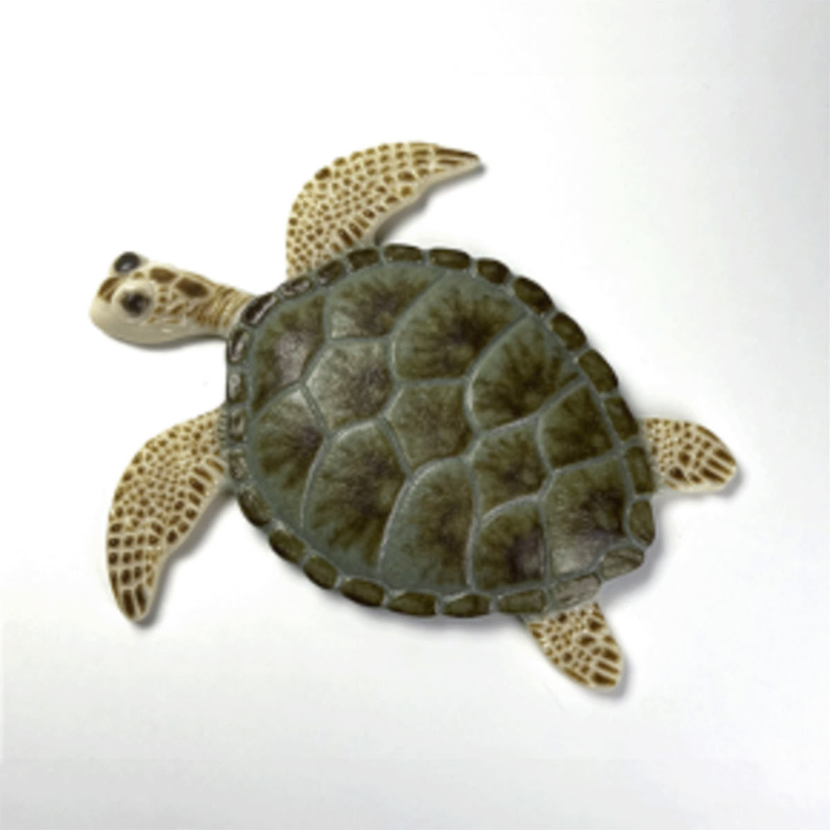 Large Sea Turtle