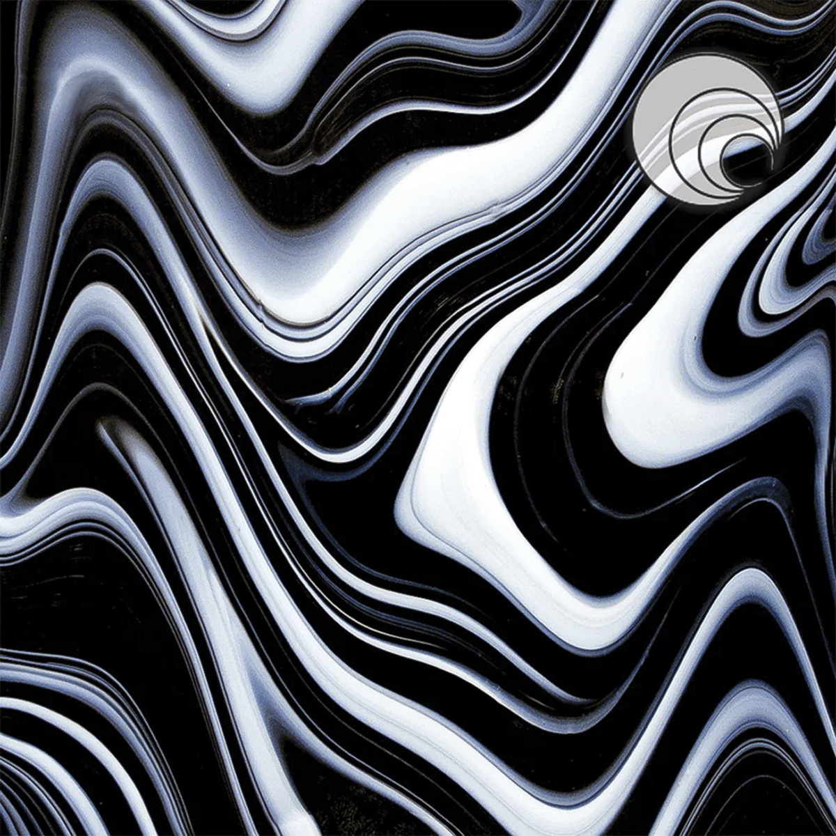 Licorice Swirl - Fusbile Range