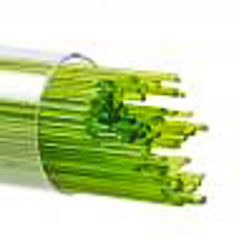 PEA POD STRINGERS 1mm