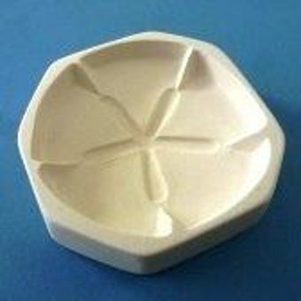 Sand Dollar Casting Mold