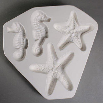 Starfish and Seahorse